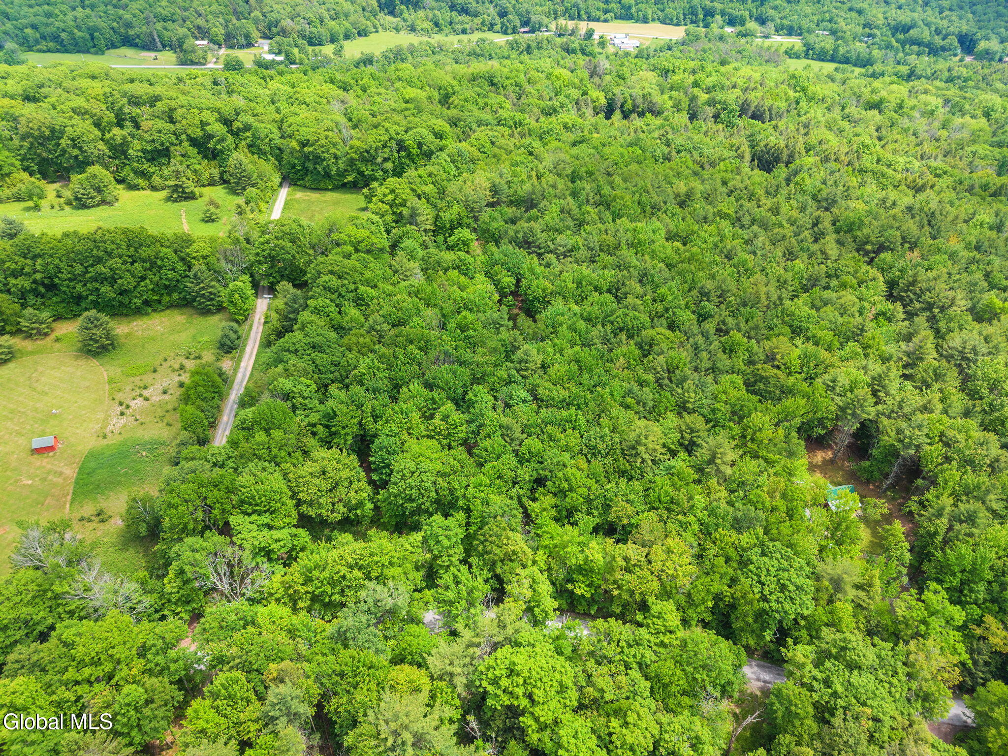 114 Stonewall Path & Brand Rd. Path Gilboa NY 12076