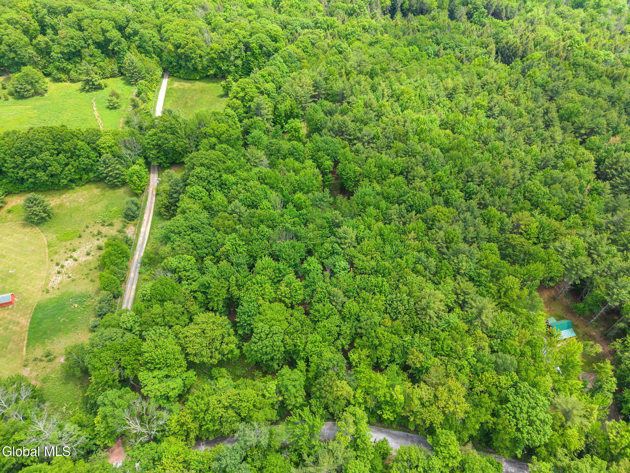 114 Stonewall Path & Brand Rd. Path Gilboa NY 12076