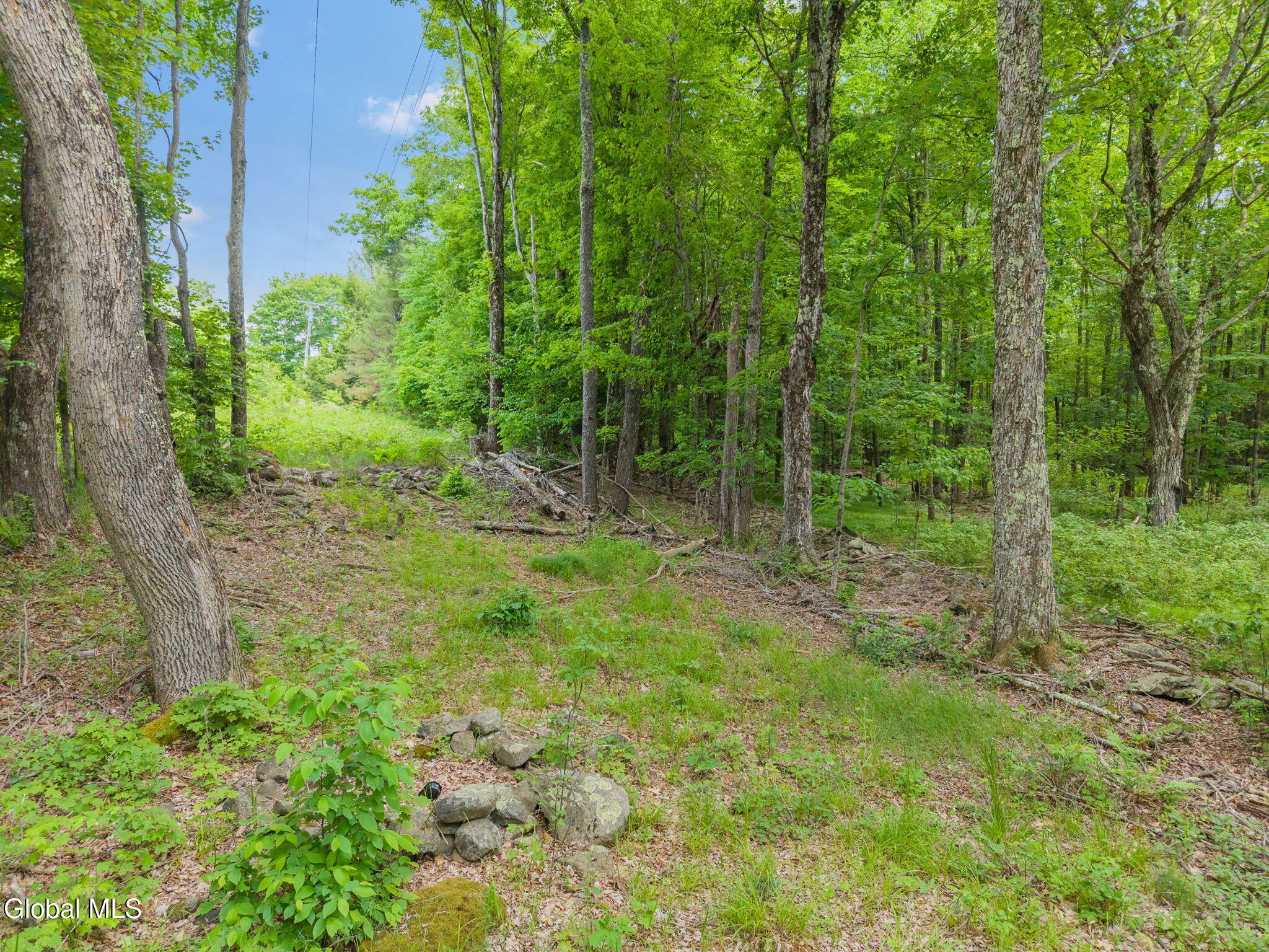 114 Stonewall Path & Brand Rd. Path Gilboa NY 12076
