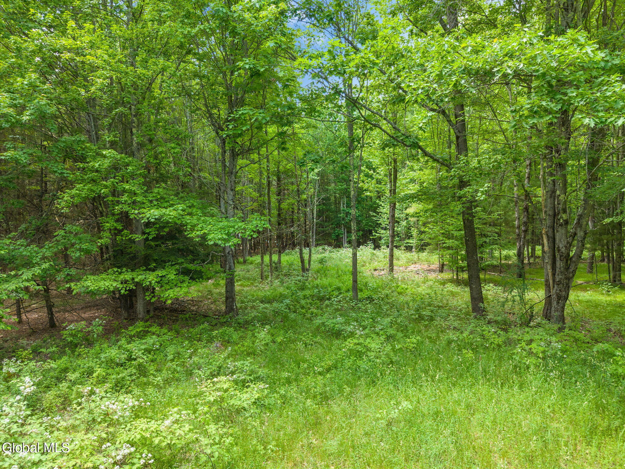 114 Stonewall Path & Brand Rd. Path Gilboa NY 12076