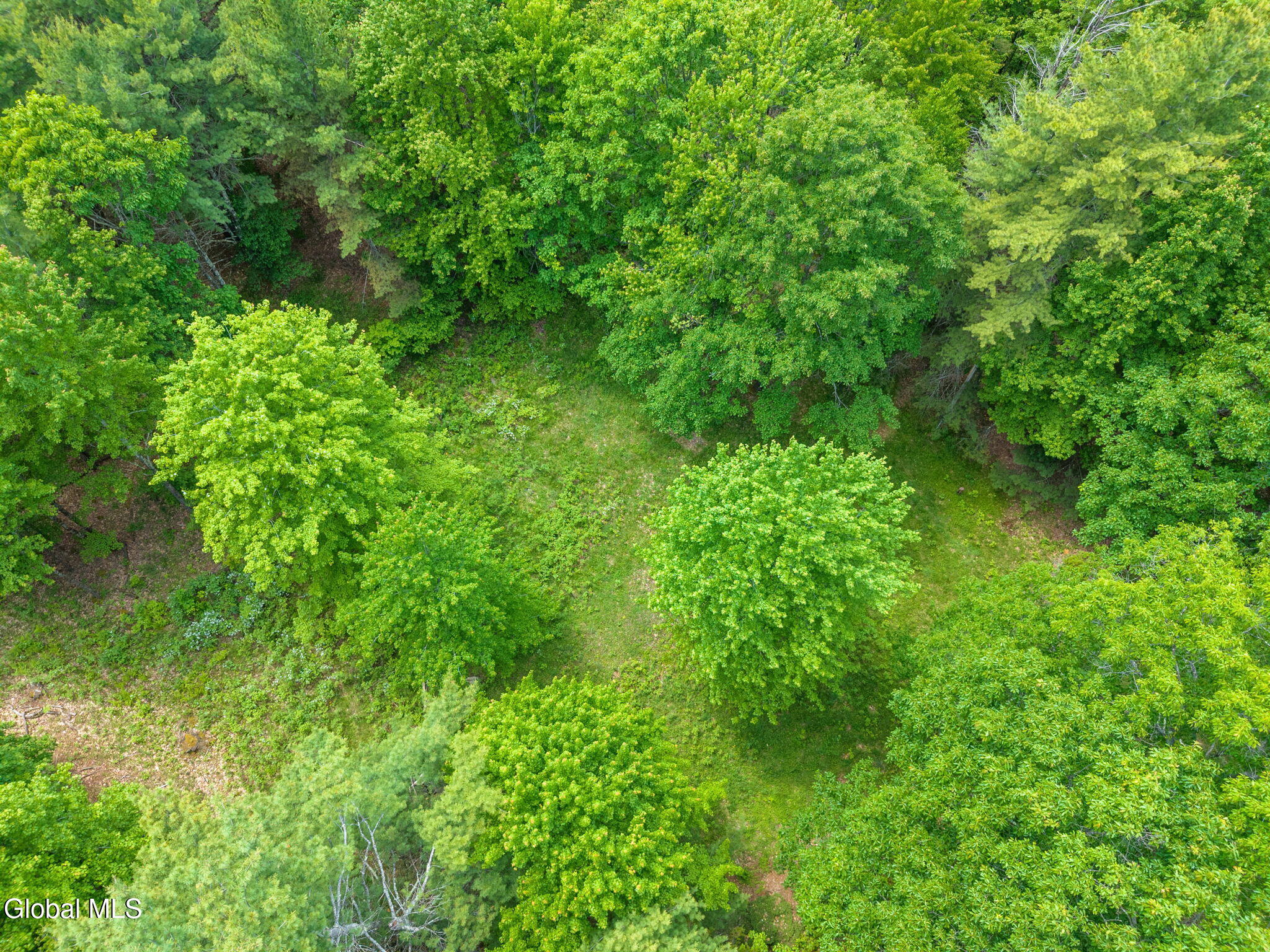 114 Stonewall Path & Brand Rd. Path Gilboa NY 12076