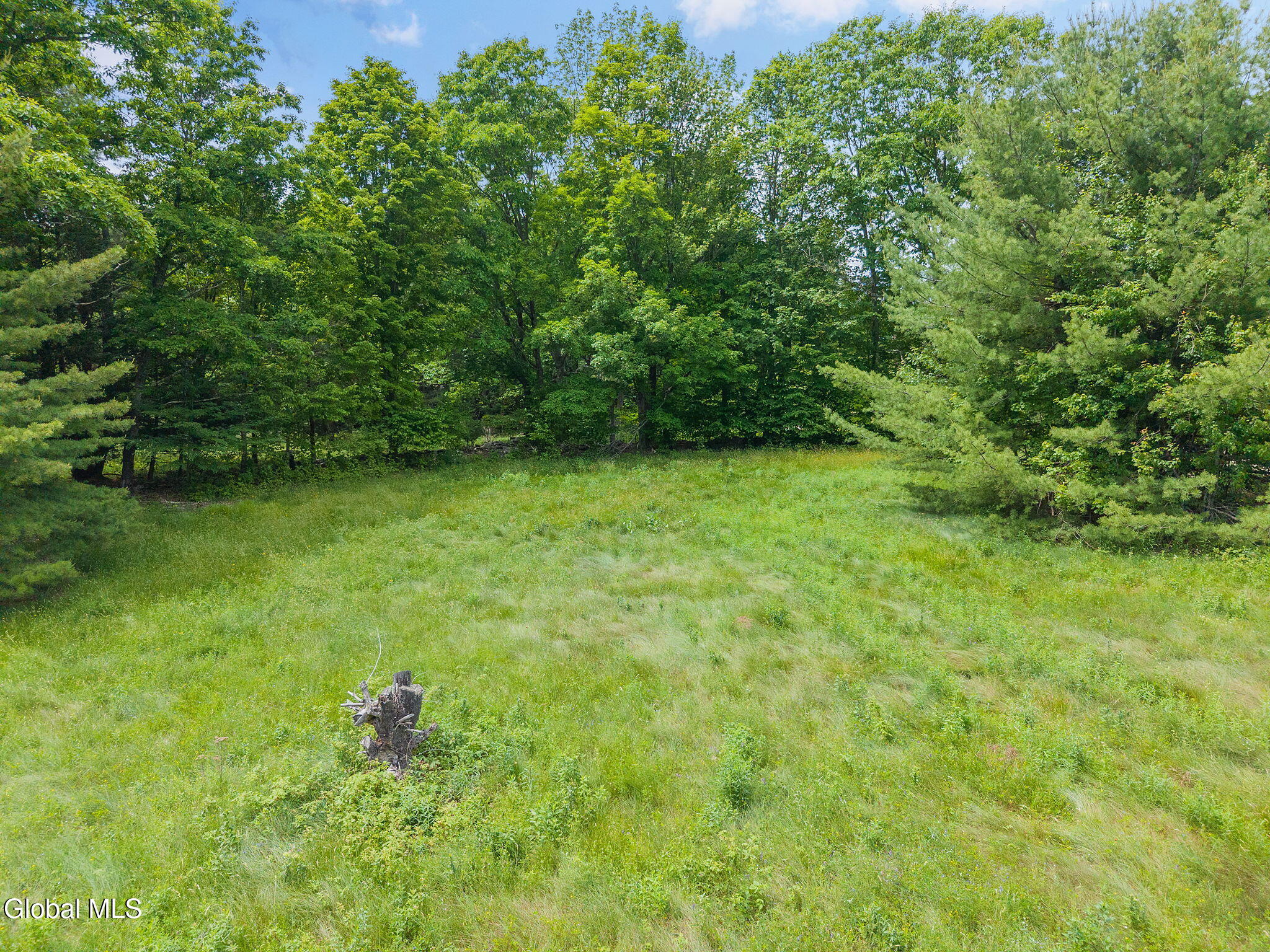 114 Stonewall Path & Brand Rd. Path Gilboa NY 12076
