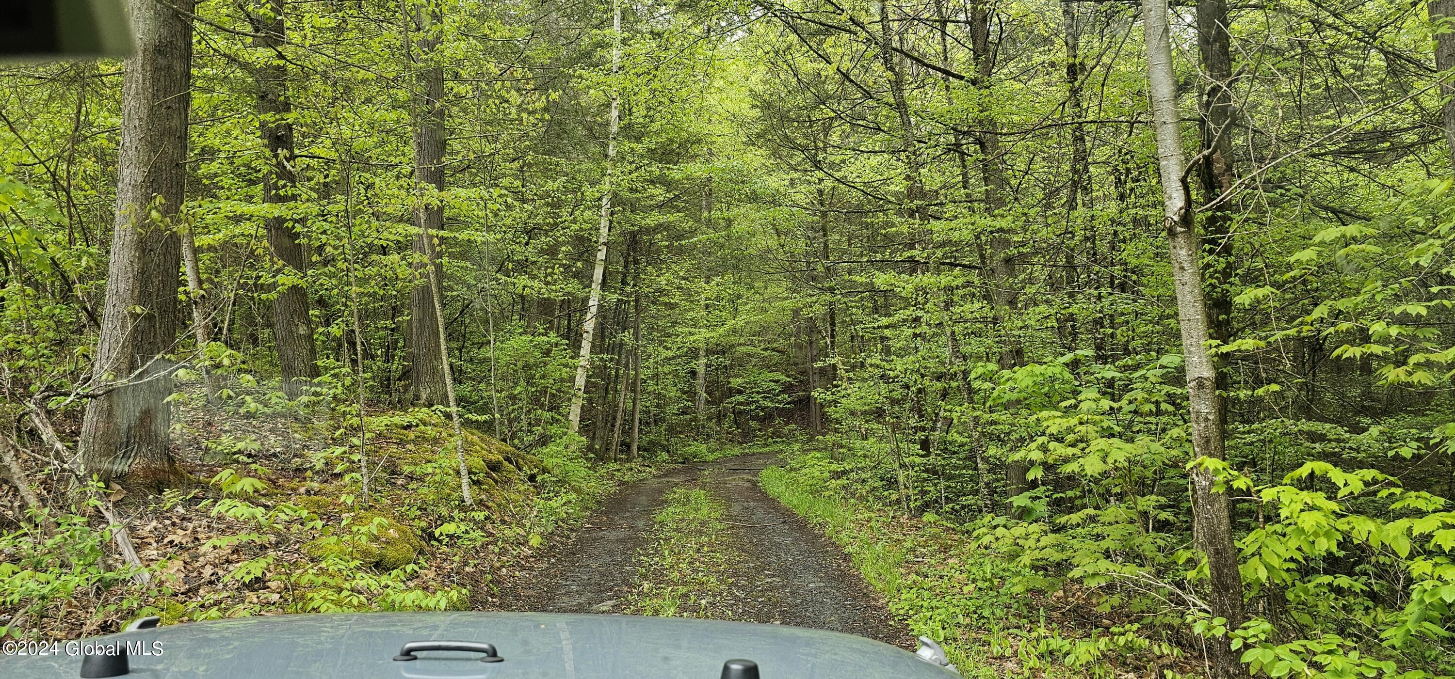 5.95 Acres Tae Kwon Road North Blenheim NY 12131