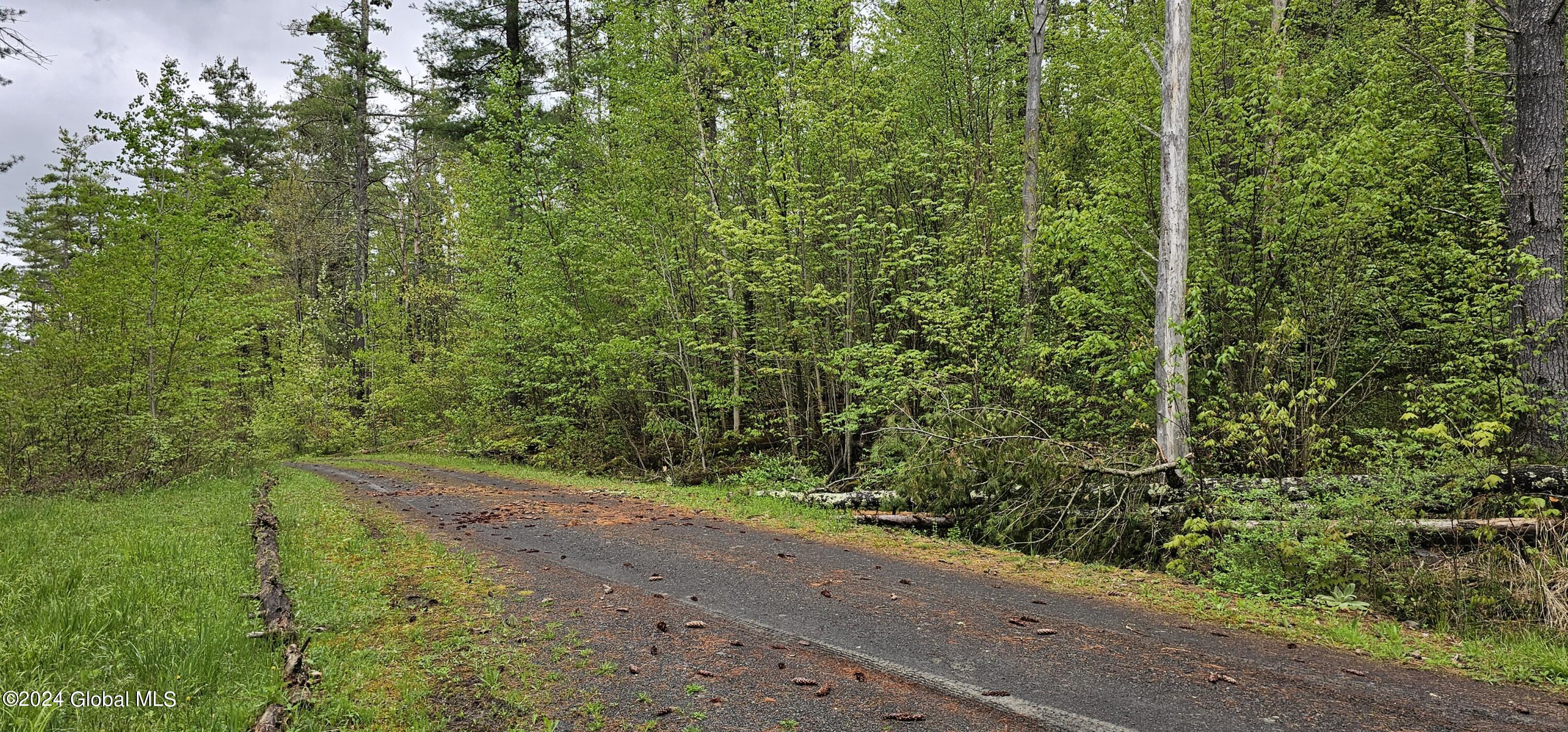 5.95 Acres Tae Kwon Road North Blenheim NY 12131