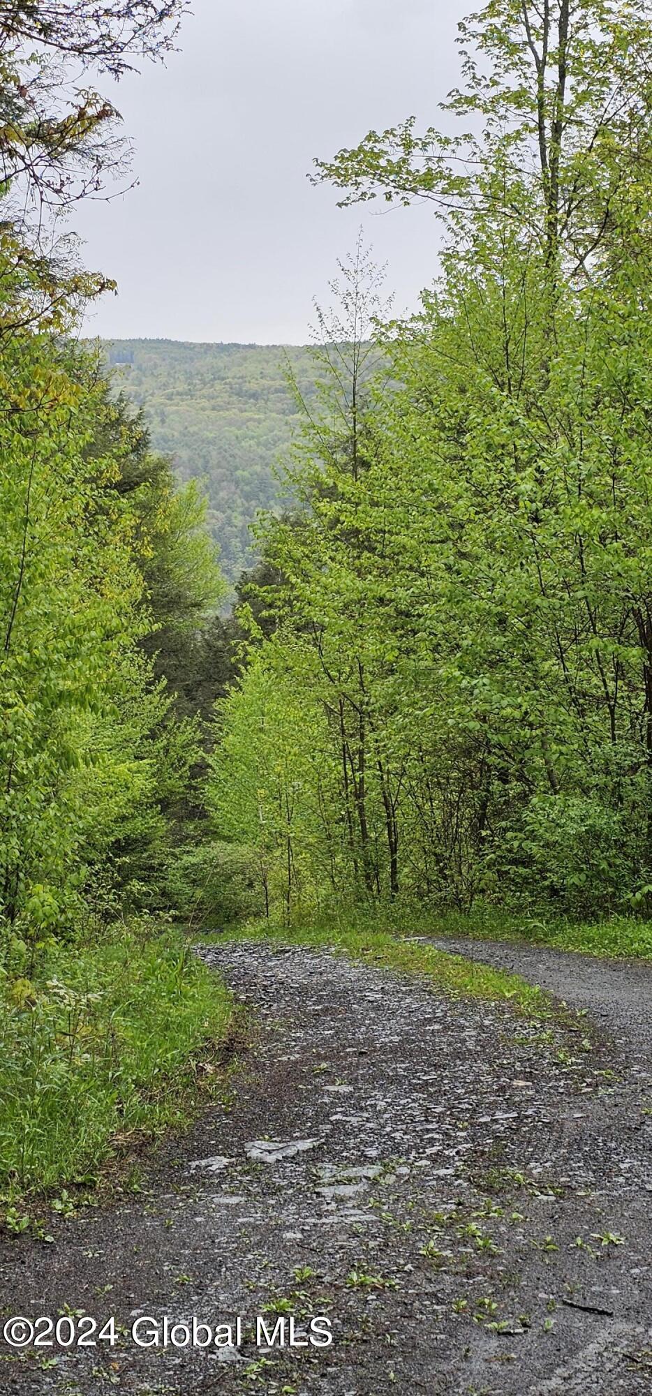 5.95 Acres Tae Kwon Road North Blenheim NY 12131