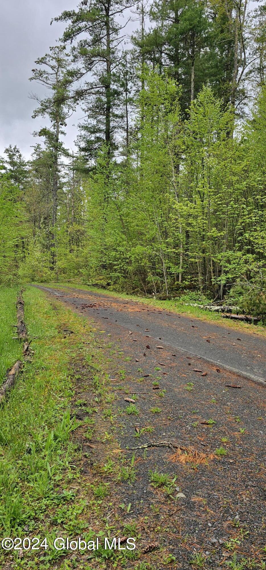 5.95 Acres Tae Kwon Road North Blenheim NY 12131