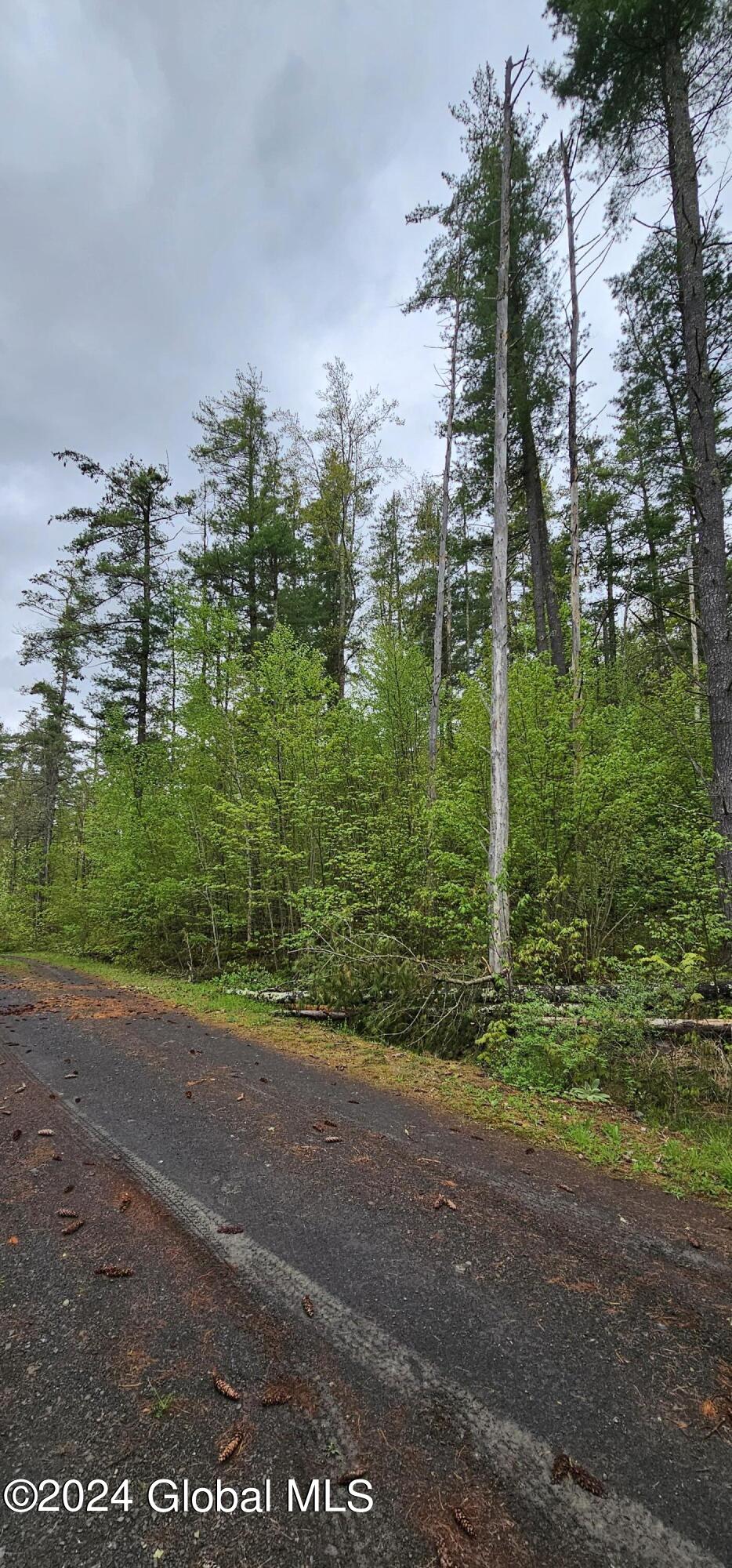 5.95 Acres Tae Kwon Road North Blenheim NY 12131