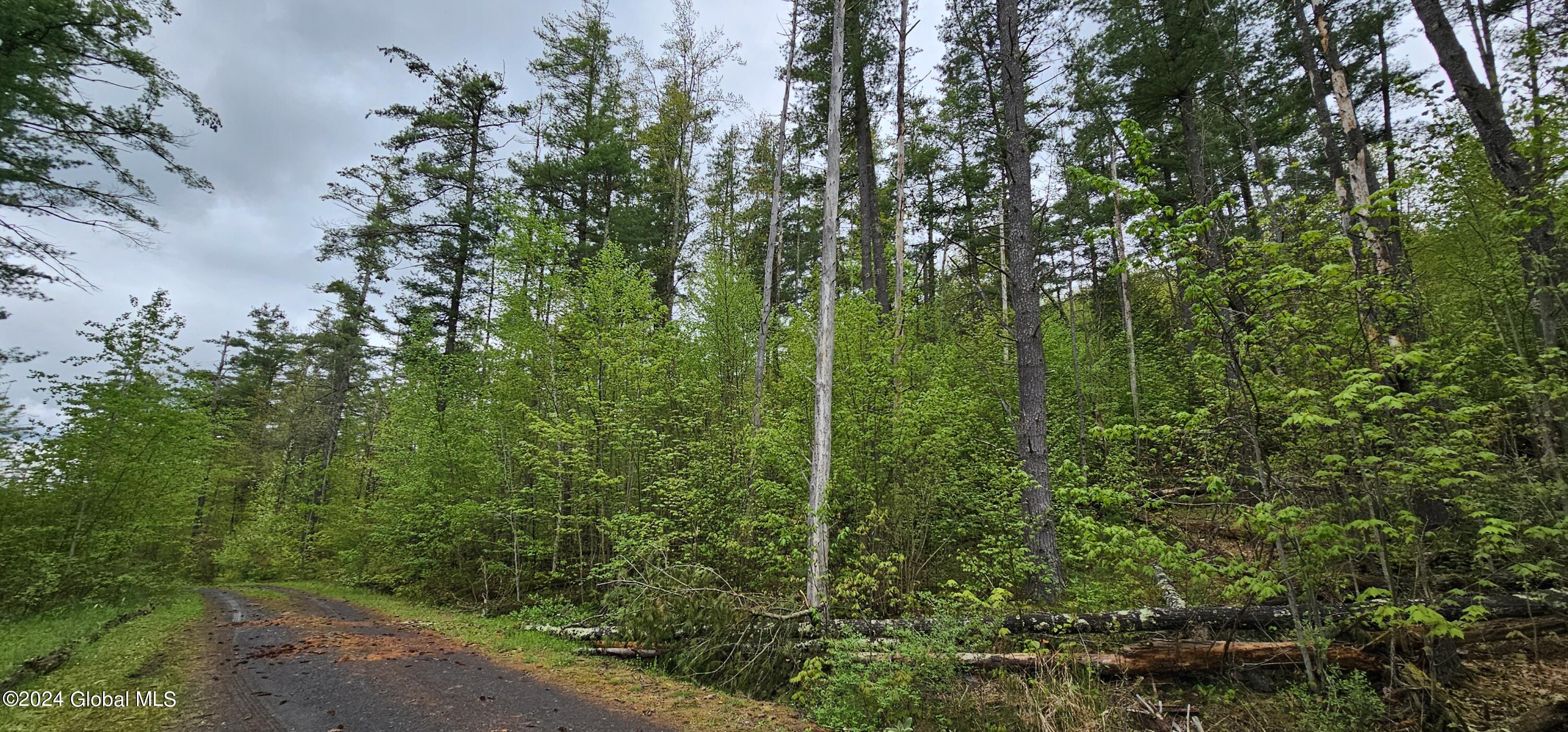 5.95 Acres Tae Kwon Road North Blenheim NY 12131