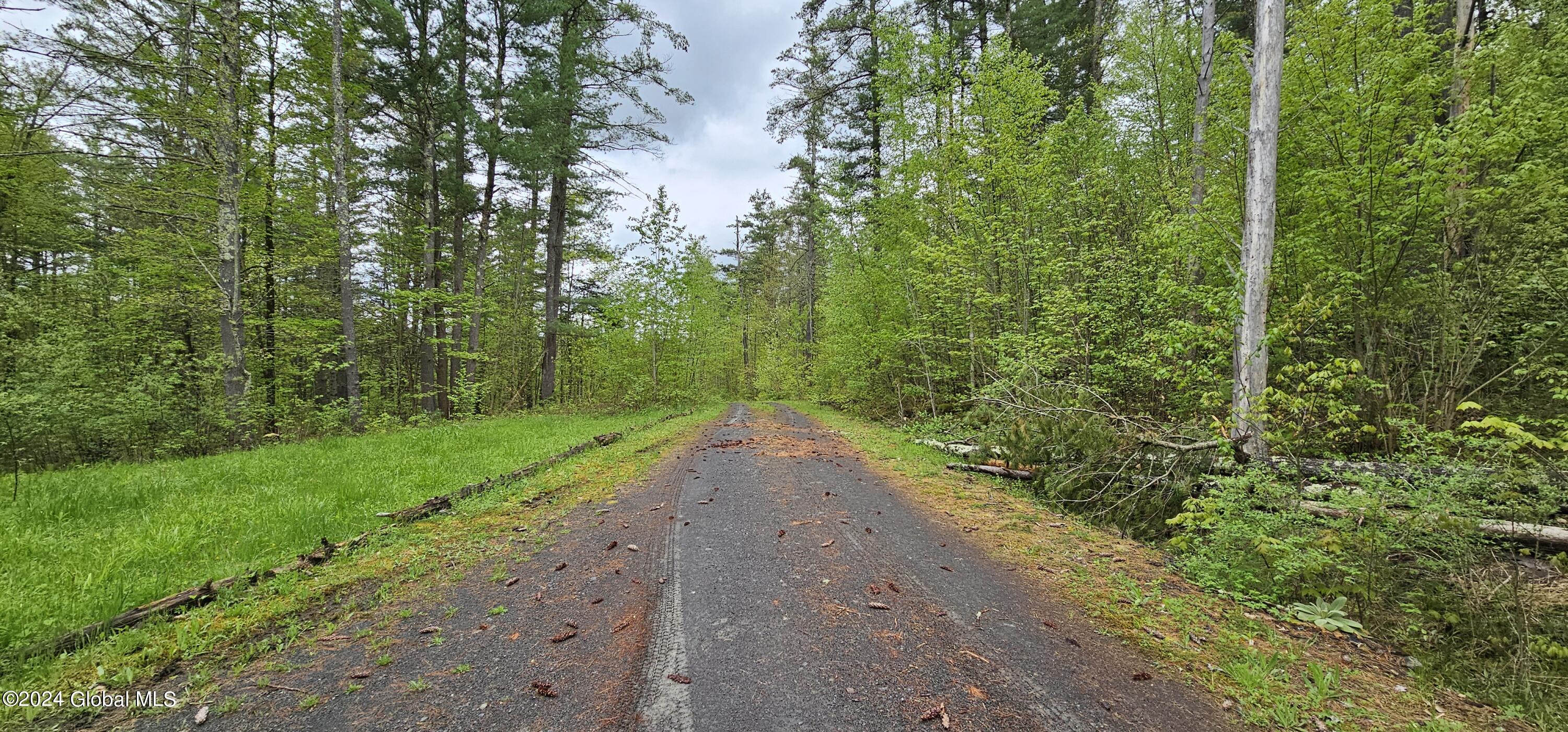5.95 Acres Tae Kwon Road North Blenheim NY 12131