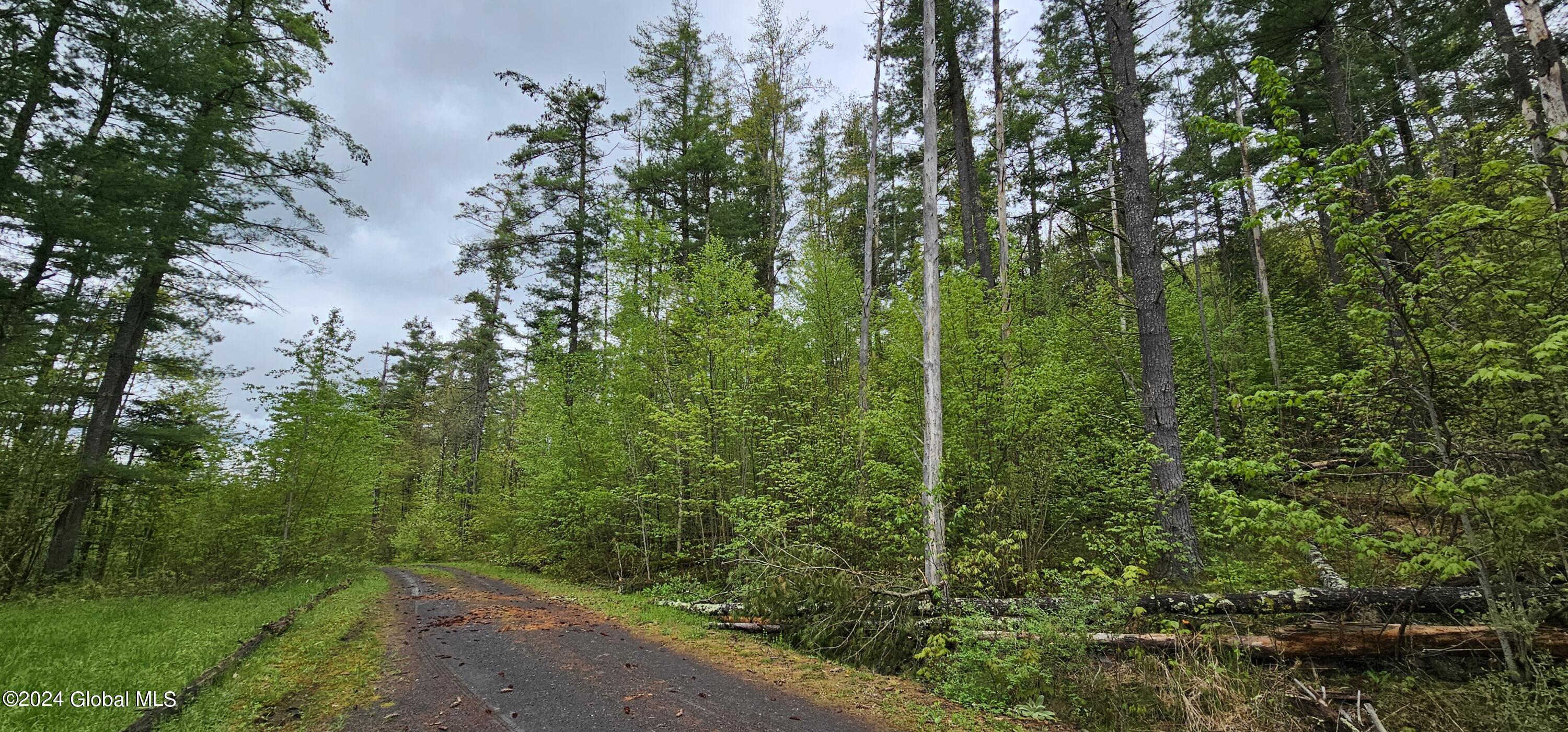 5.95 Acres Tae Kwon Road North Blenheim NY 12131