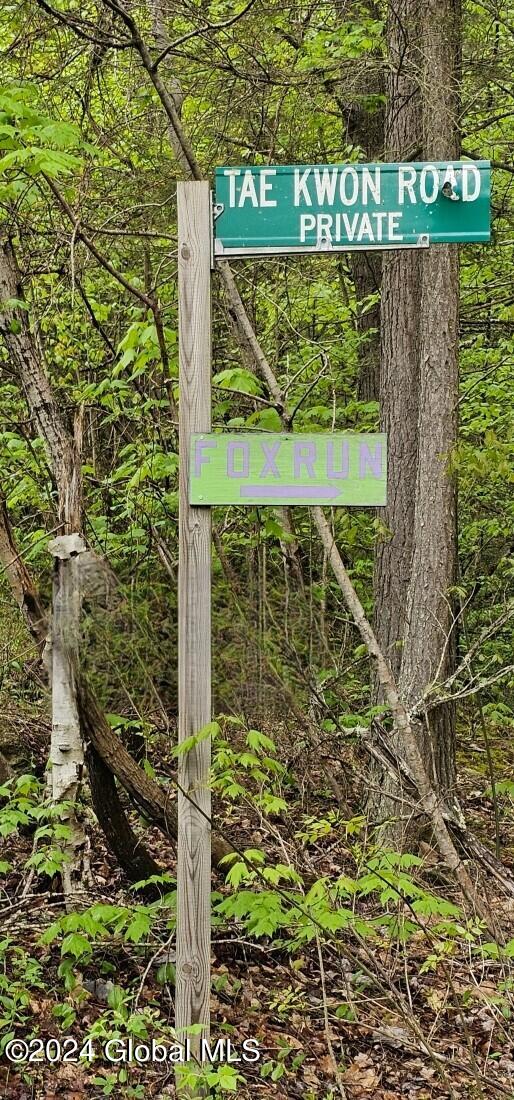 5.95 Acres Tae Kwon Road North Blenheim NY 12131