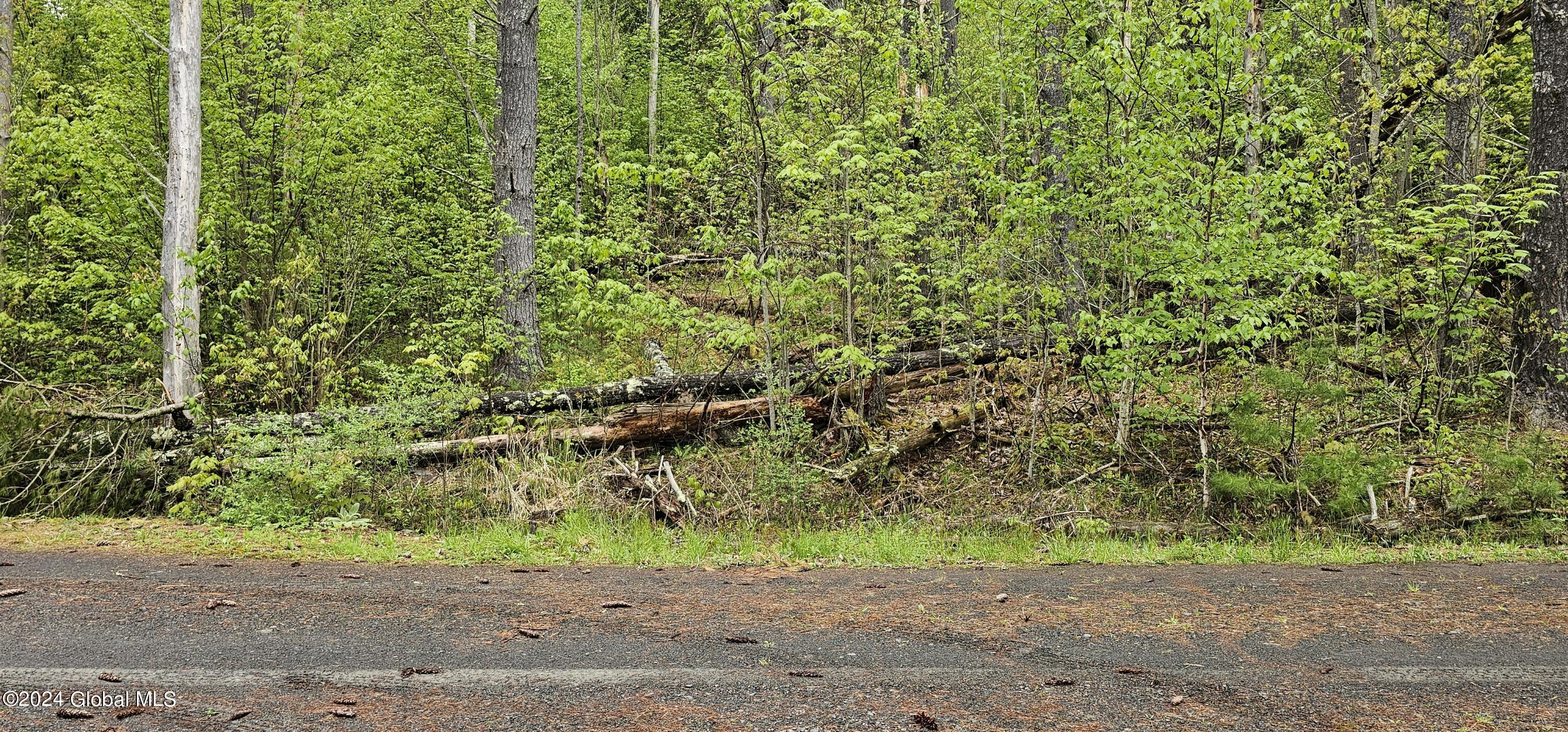 5.95 Acres Tae Kwon Road North Blenheim NY 12131