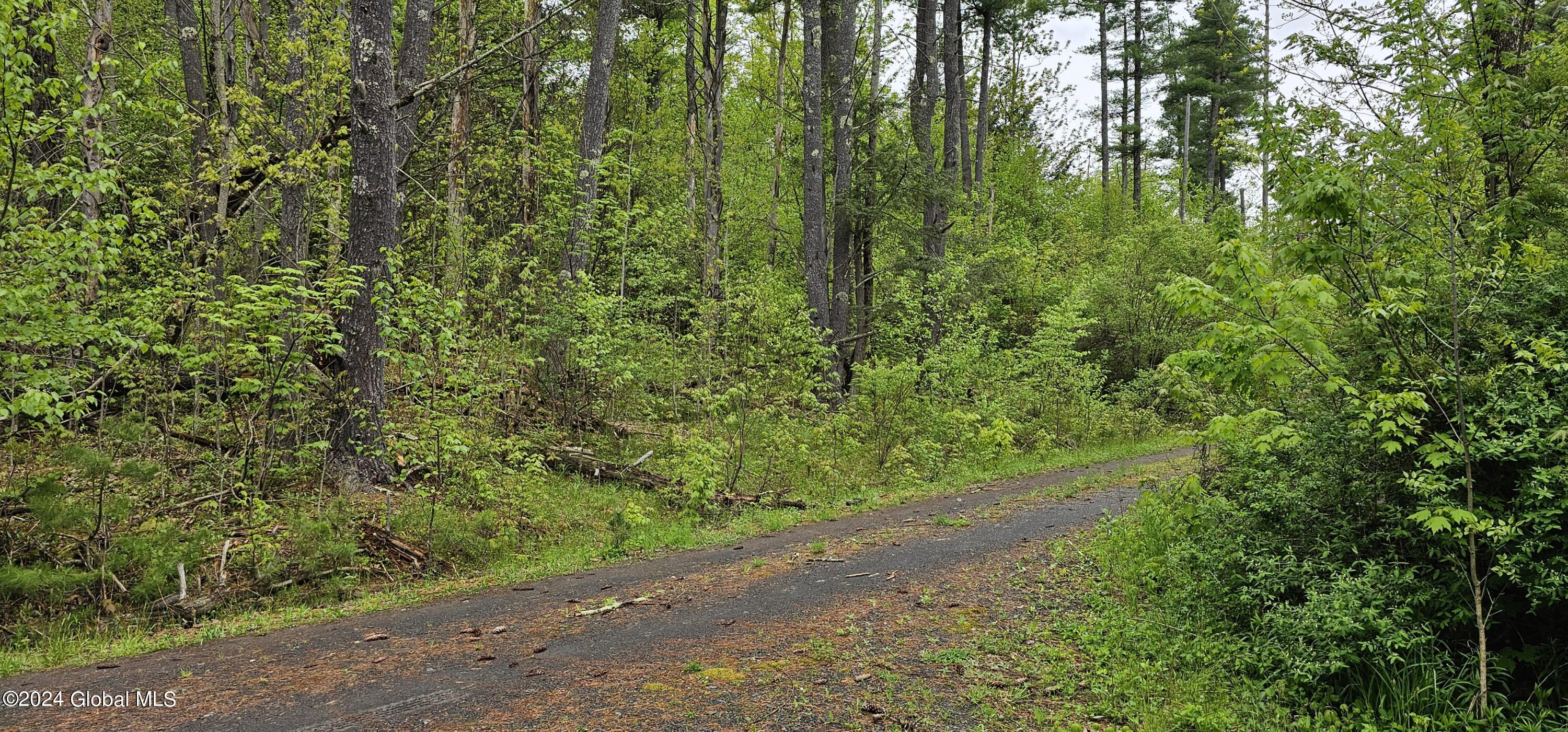 5.95 Acres Tae Kwon Road North Blenheim NY 12131