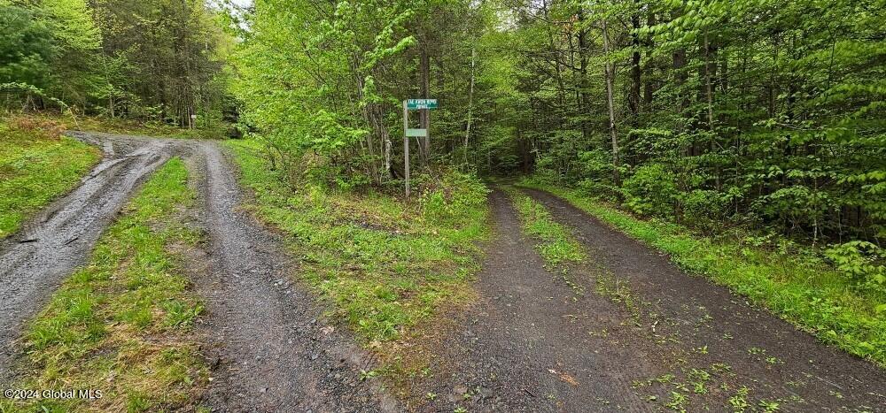 5.95 Acres Tae Kwon Road North Blenheim NY 12131