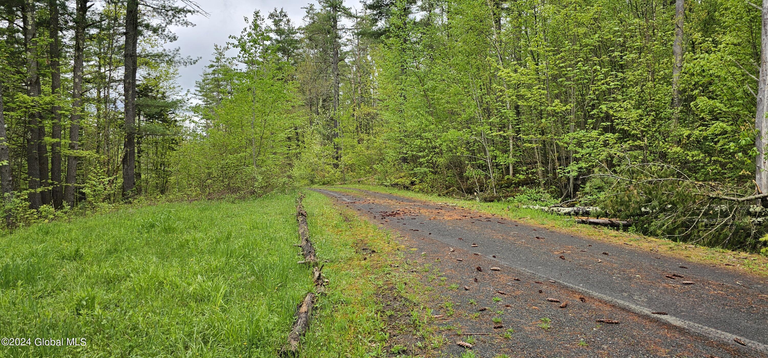 5.95 Acres Tae Kwon Road North Blenheim NY 12131