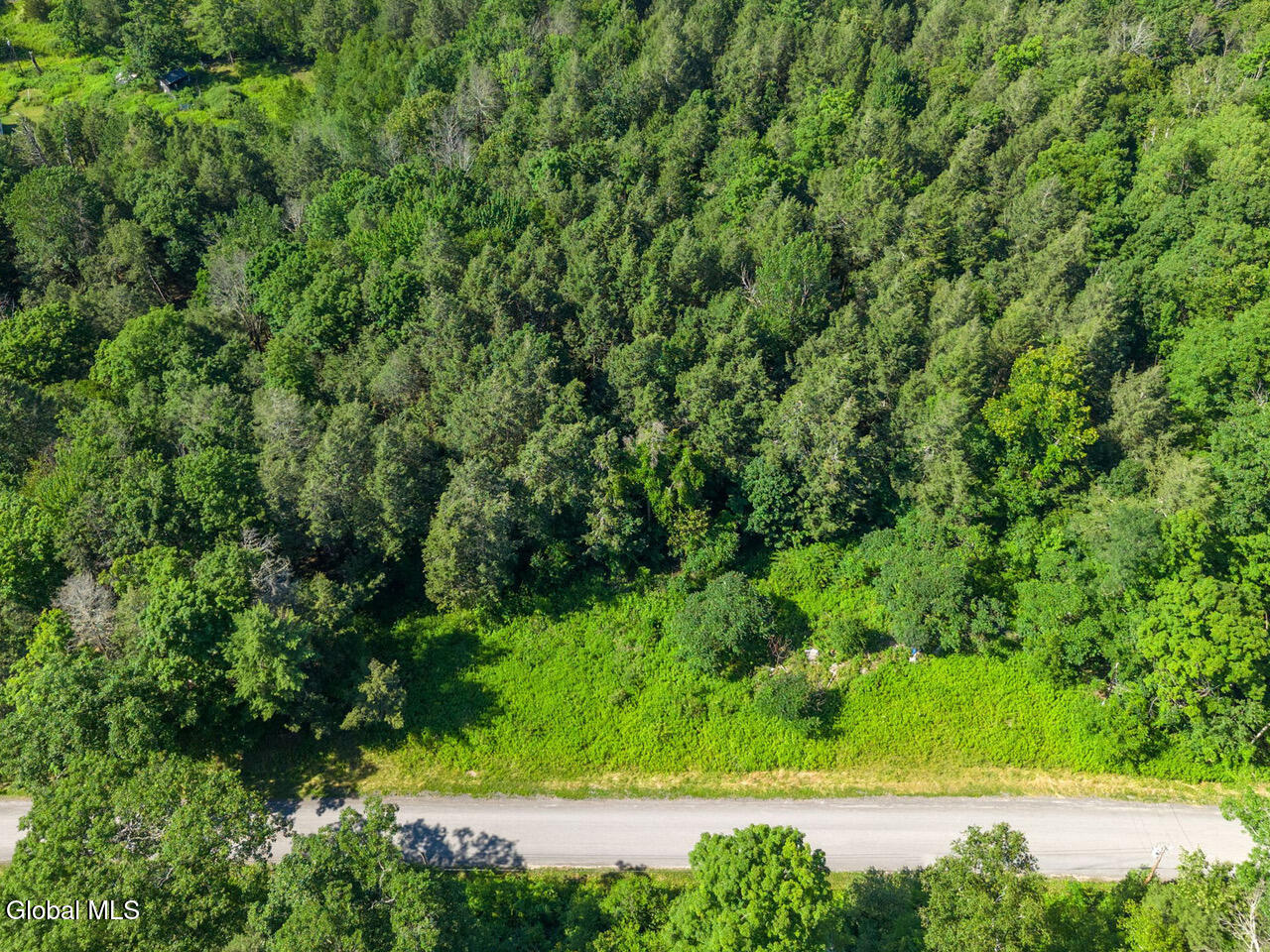 253 Armlin Hill Road Middleburgh NY 12122