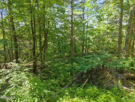 253 Armlin Hill Road Middleburgh NY 12122