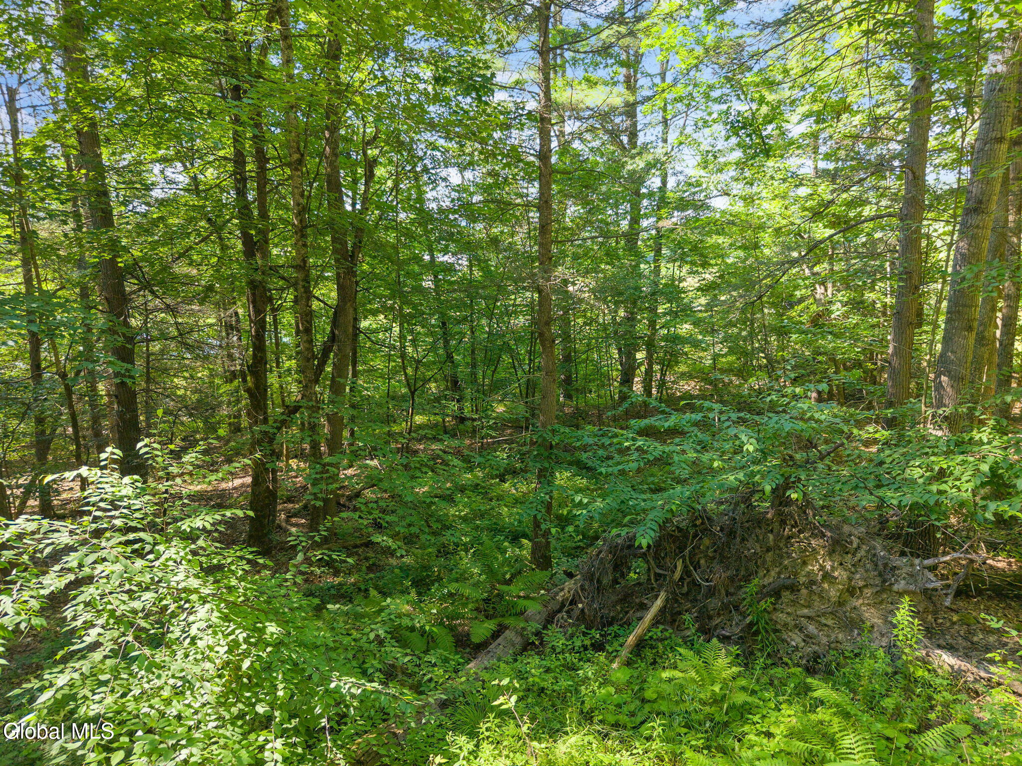253 Armlin Hill Road Middleburgh NY 12122