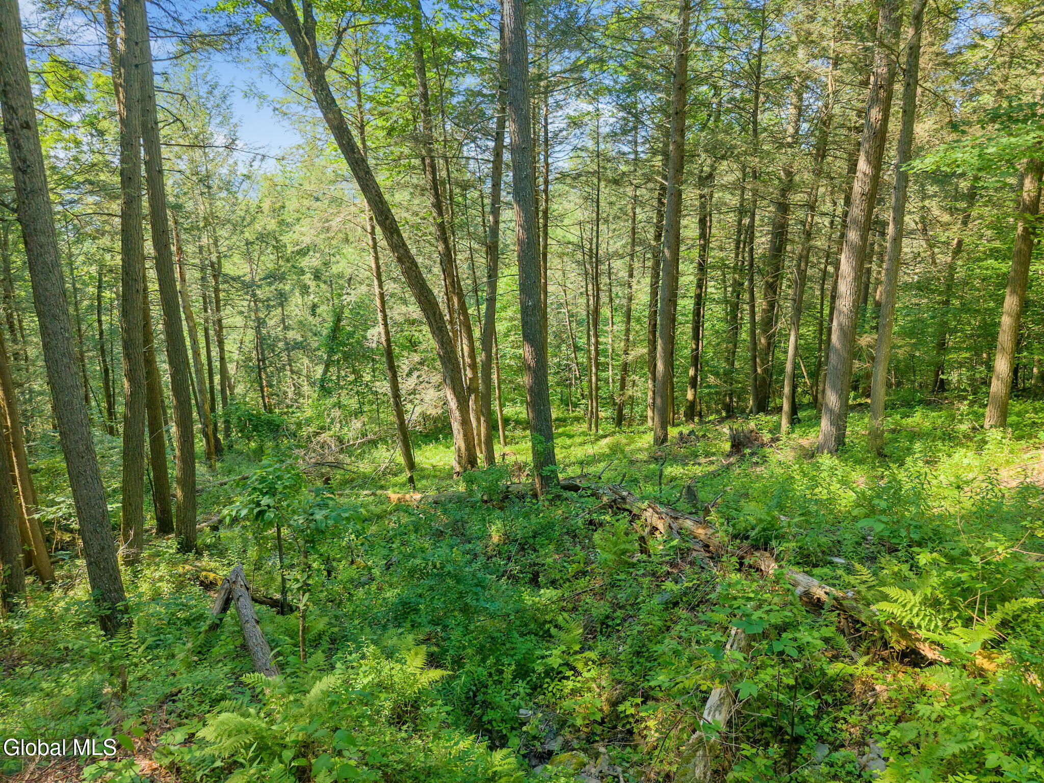 253 Armlin Hill Road Middleburgh NY 12122
