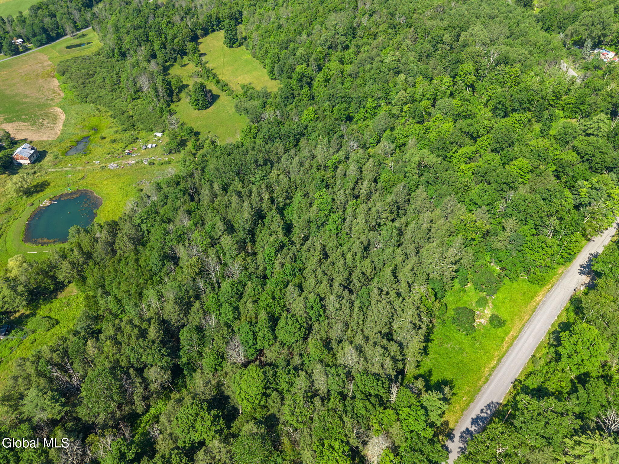 253 Armlin Hill Road Middleburgh NY 12122
