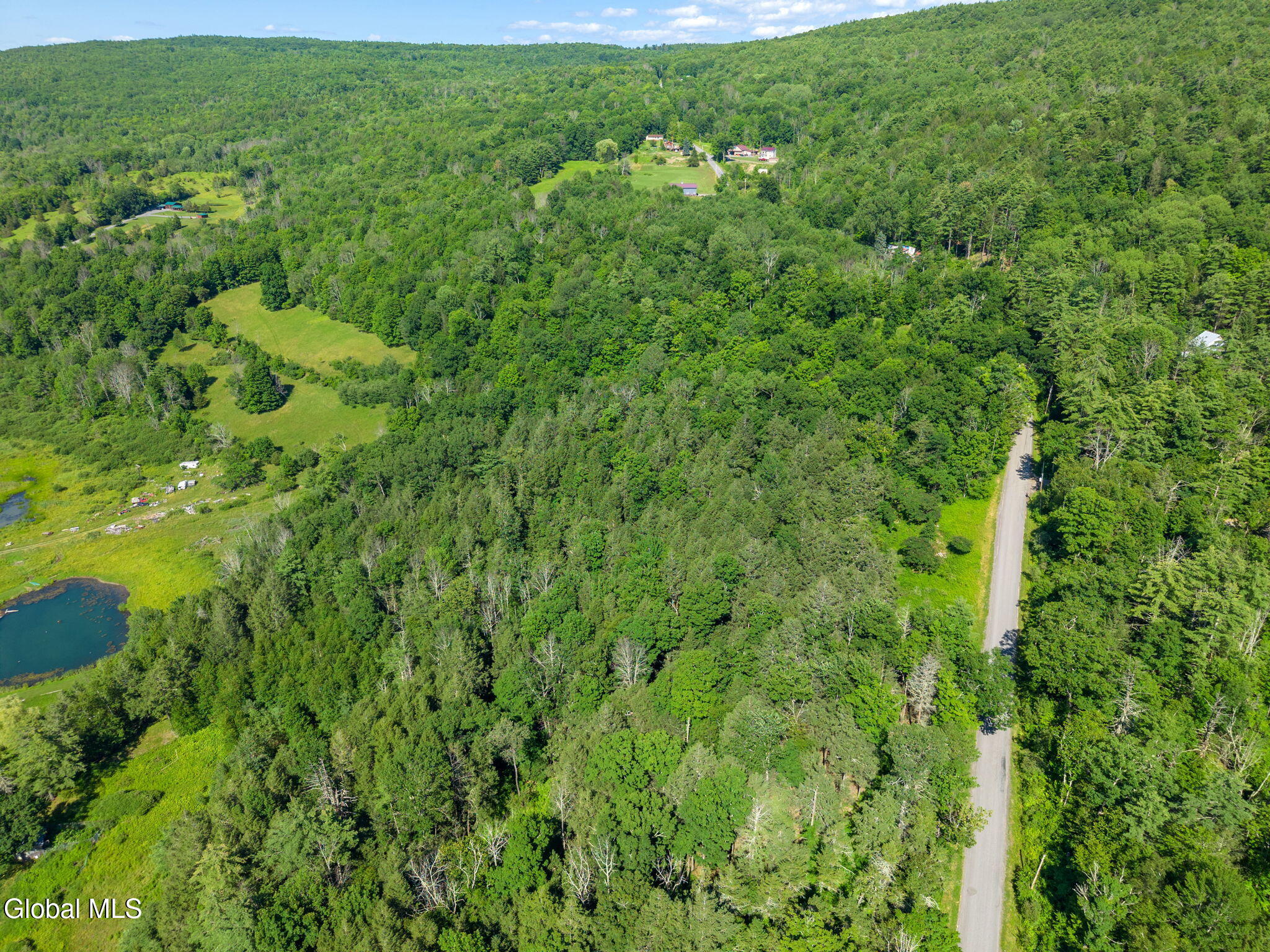 253 Armlin Hill Road Middleburgh NY 12122