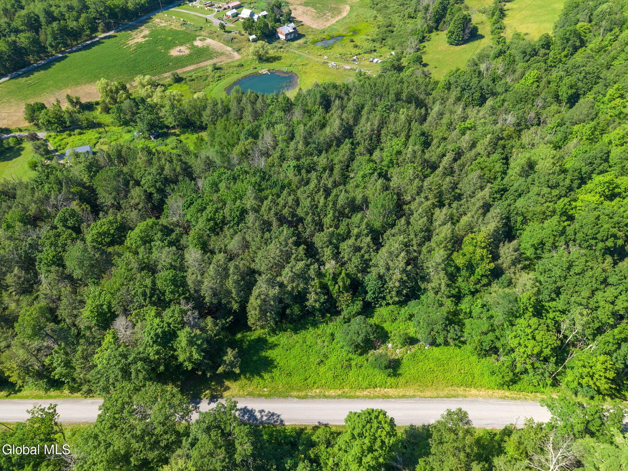 253 Armlin Hill Road Middleburgh NY 12122