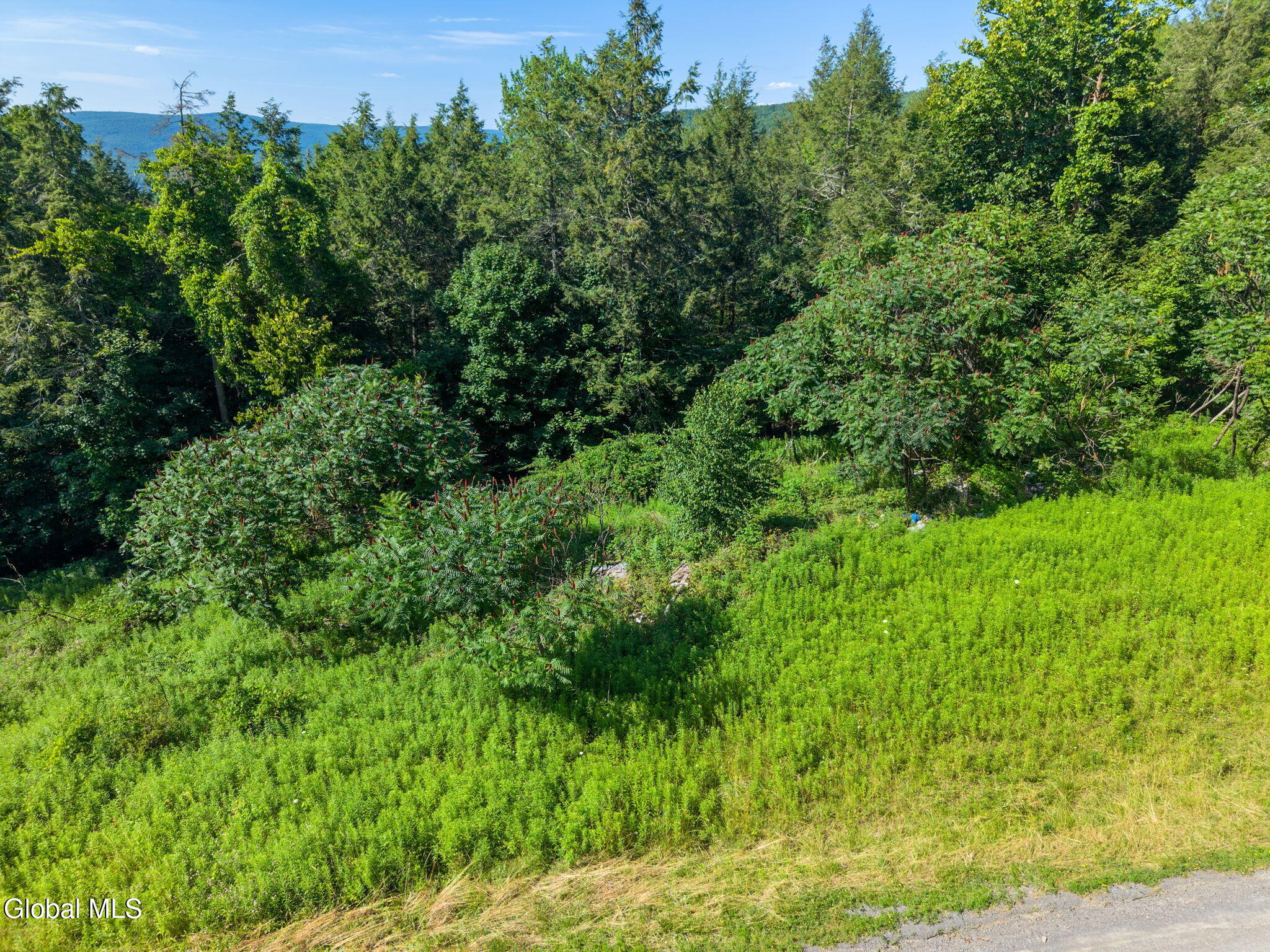 253 Armlin Hill Road Middleburgh NY 12122