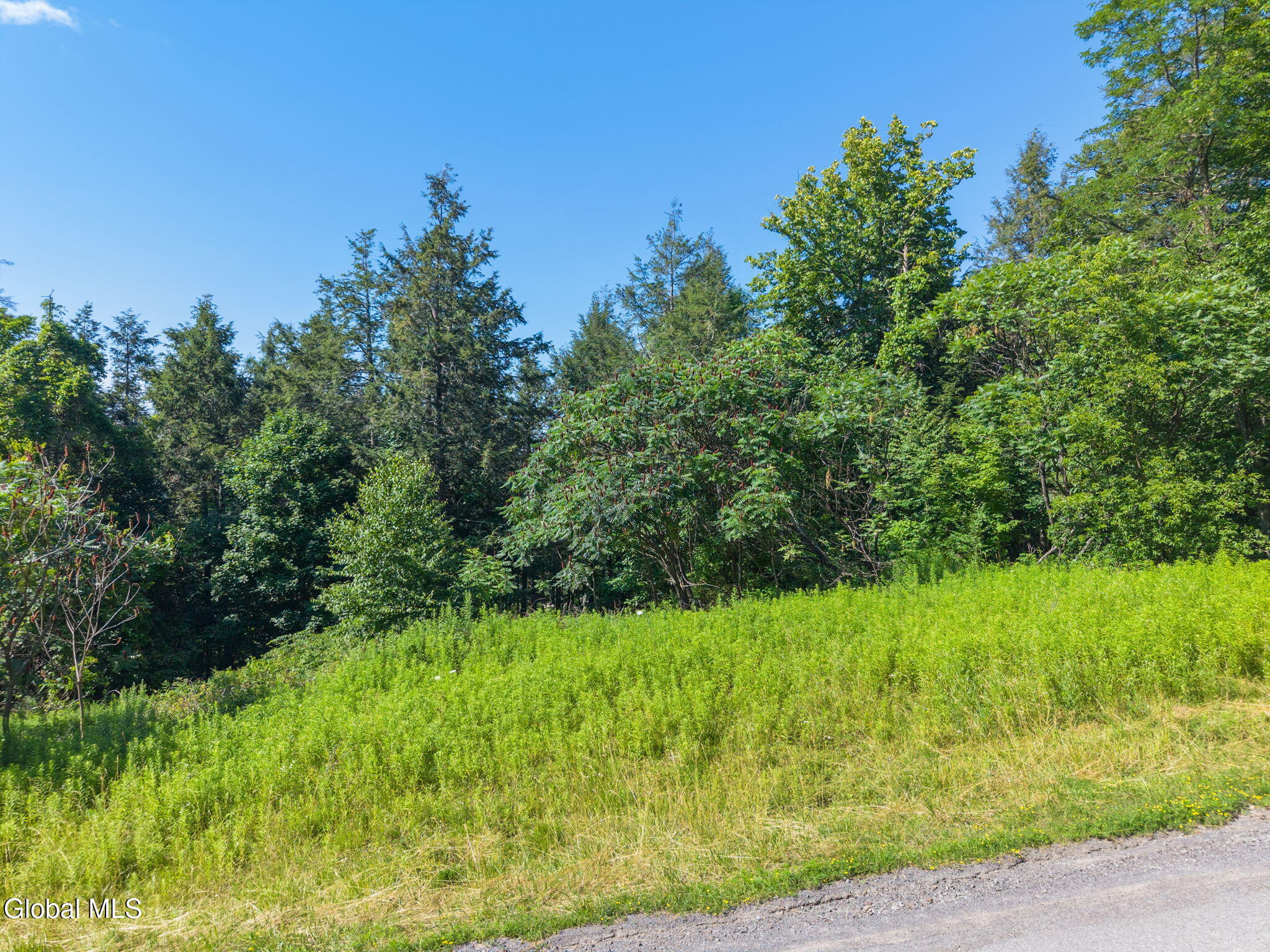 253 Armlin Hill Road Middleburgh NY 12122