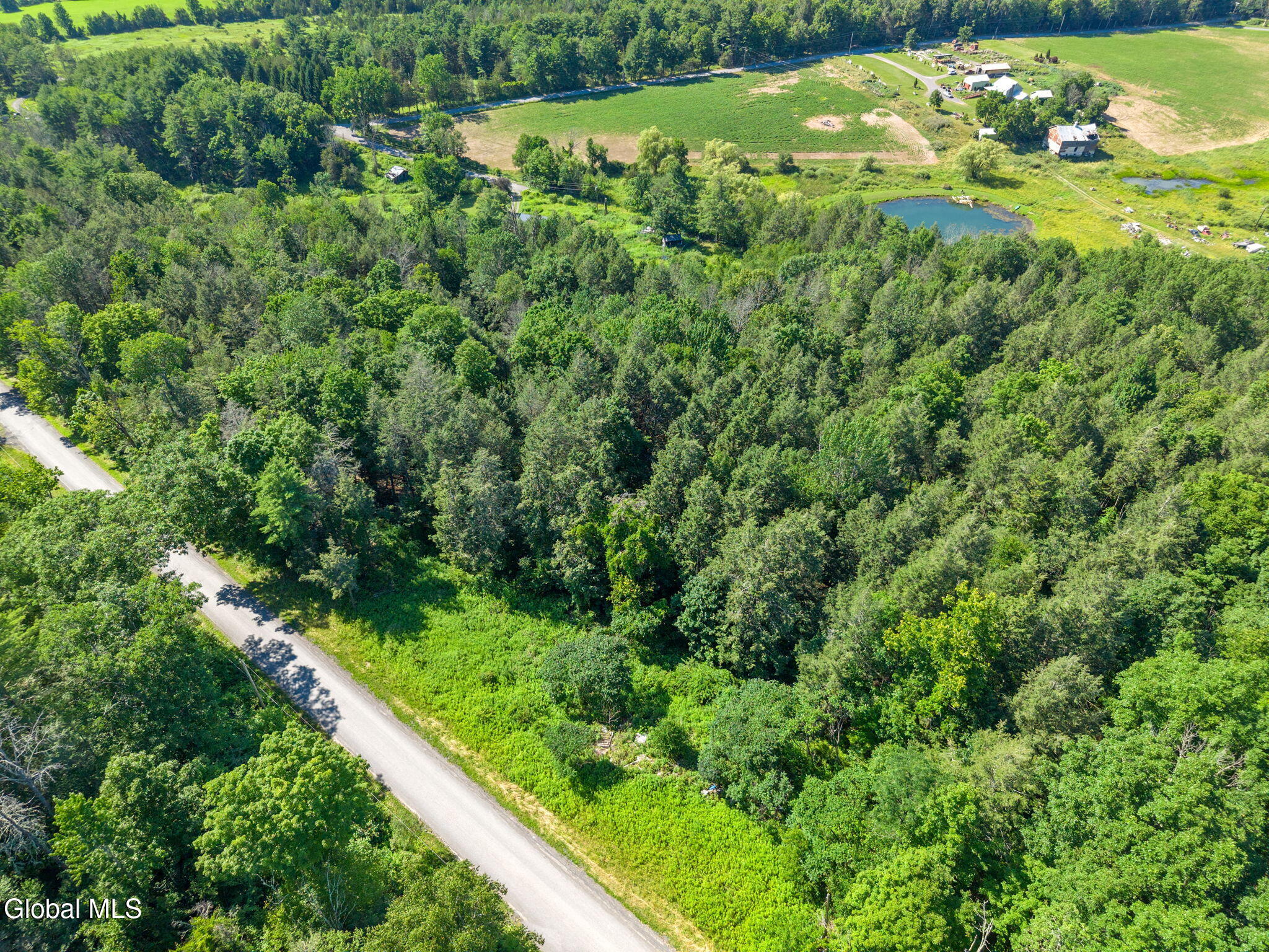 253 Armlin Hill Road Middleburgh NY 12122