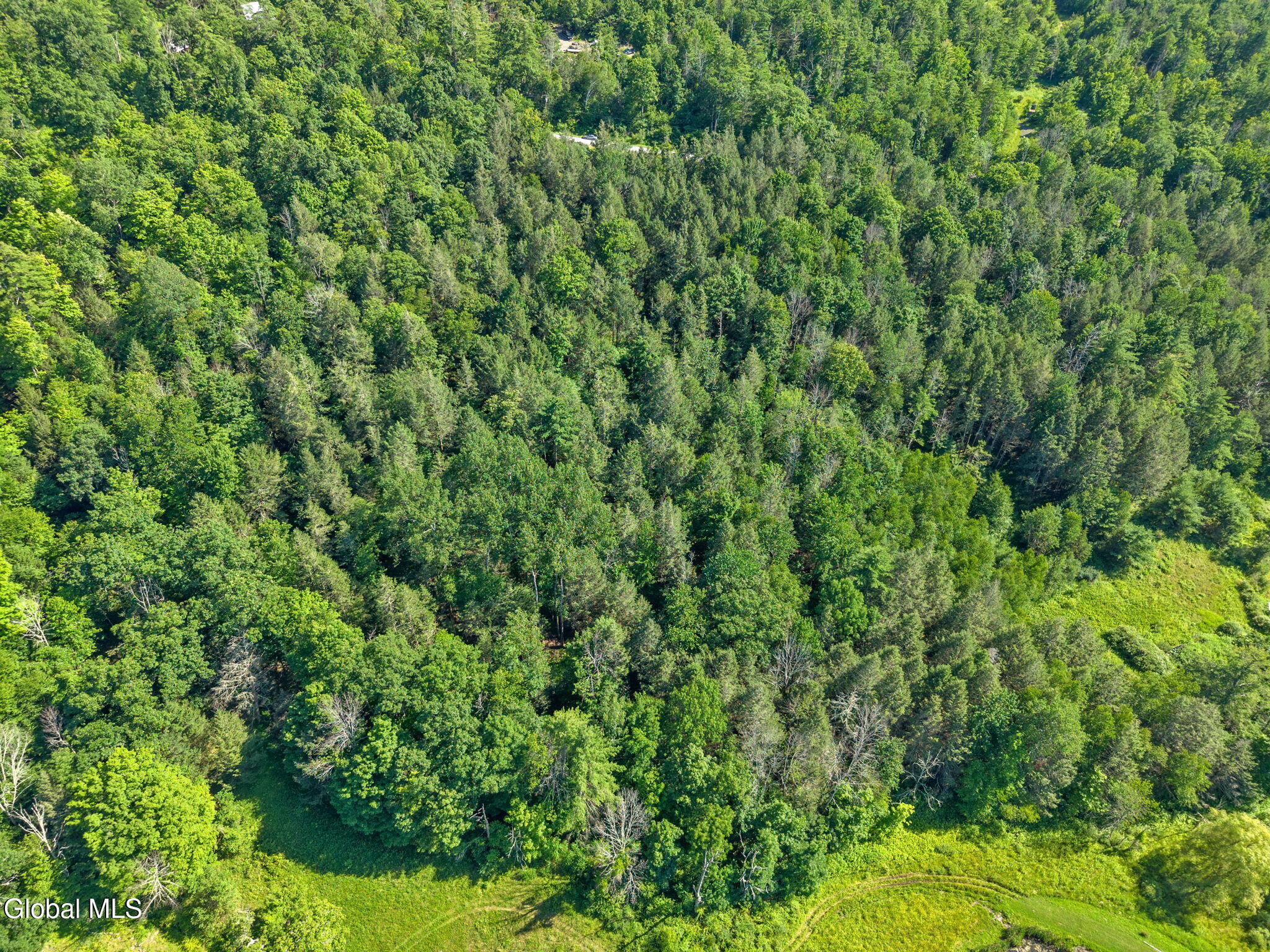 253 Armlin Hill Road Middleburgh NY 12122