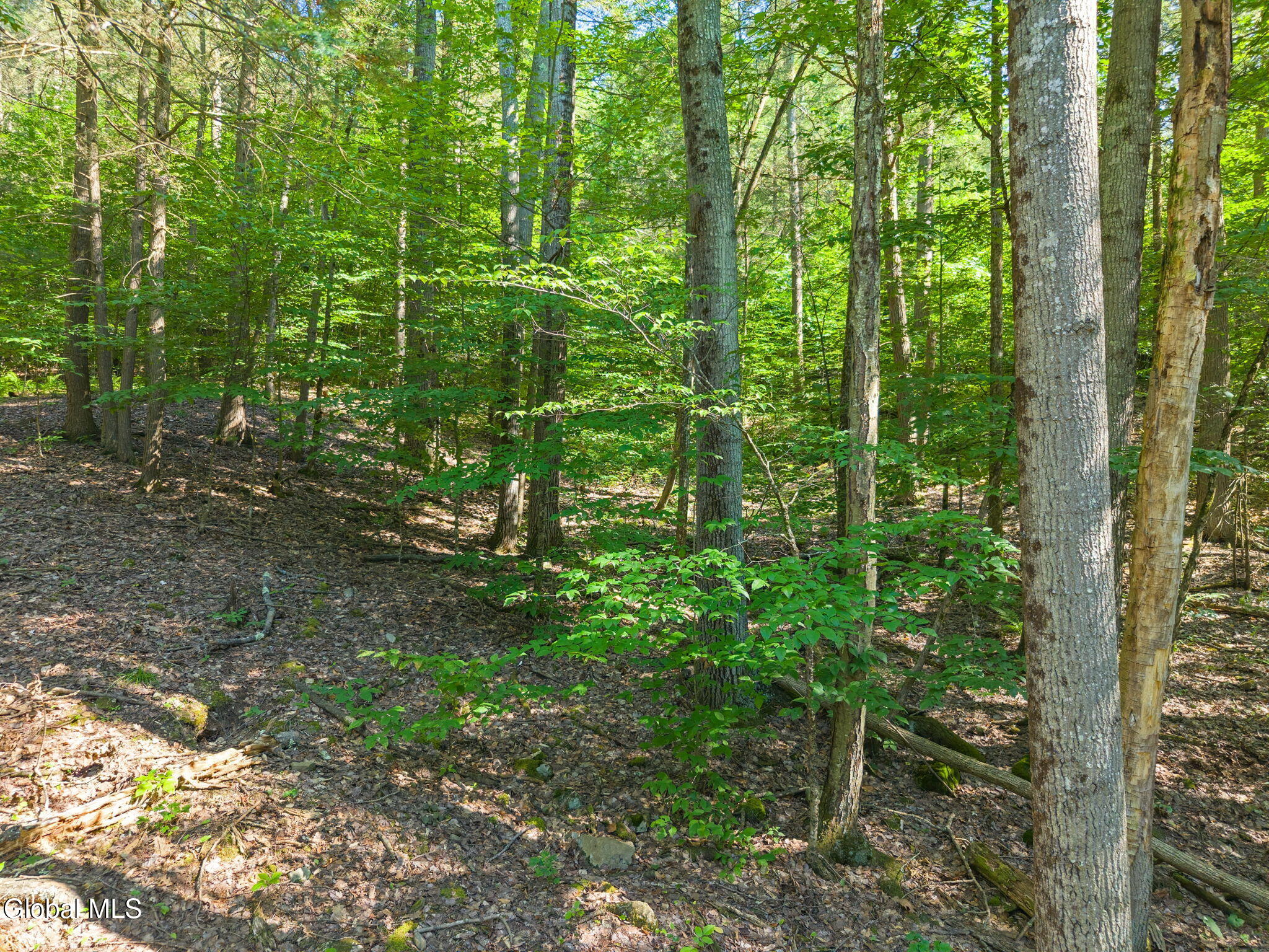 253 Armlin Hill Road Middleburgh NY 12122