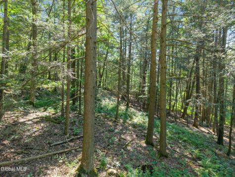 253 Armlin Hill Road Middleburgh NY 12122