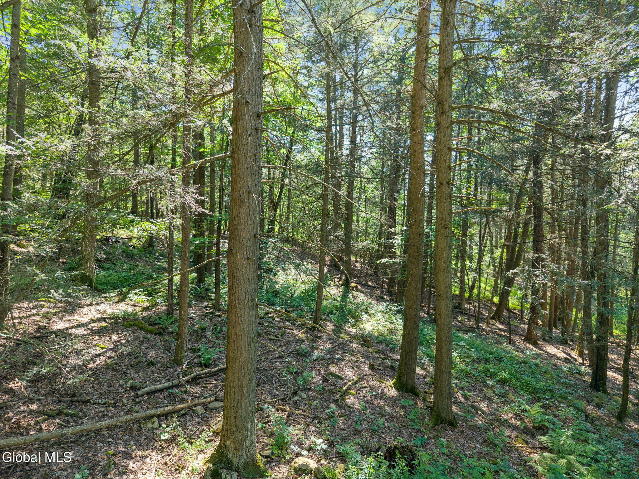 253 Armlin Hill Road Middleburgh NY 12122