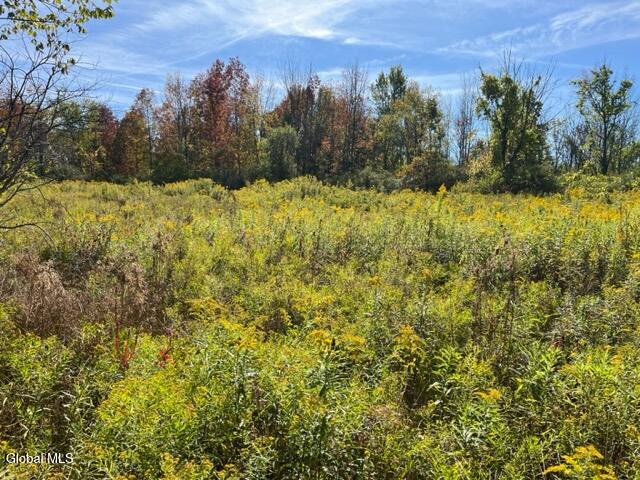 L27 Duanesburg Road Duanesburg NY 12053
