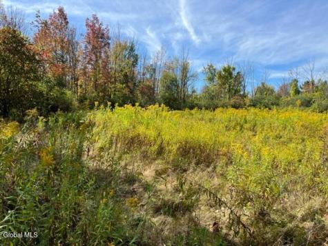 L27 Duanesburg Road Duanesburg NY 12053