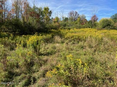 L27 Duanesburg Road Duanesburg NY 12053
