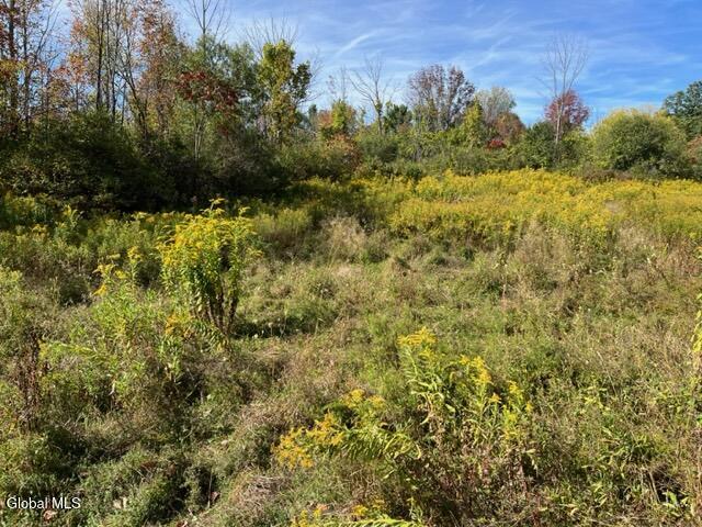 L27 Duanesburg Road Duanesburg NY 12053