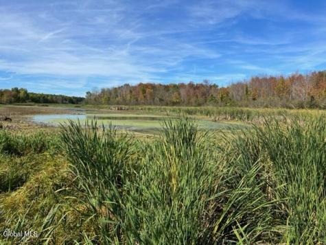 L27 Duanesburg Road Duanesburg NY 12053