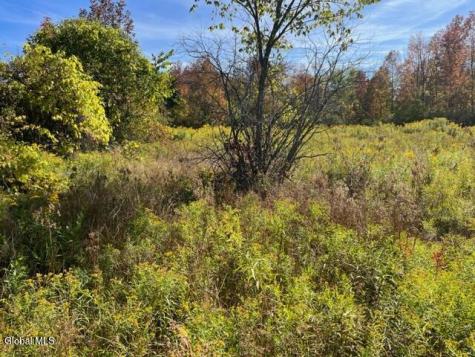 L27 Duanesburg Road Duanesburg NY 12053