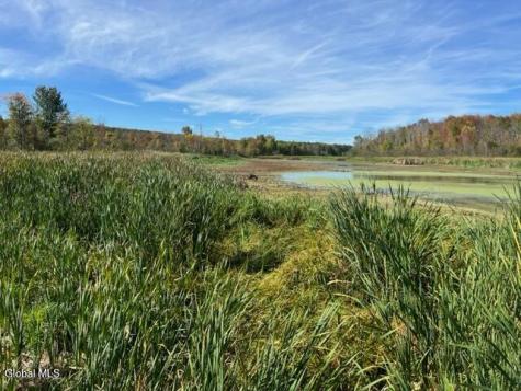 L27 Duanesburg Road Duanesburg NY 12053
