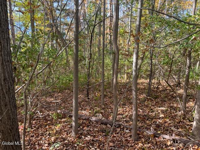 L27 Duanesburg Road Duanesburg NY 12053