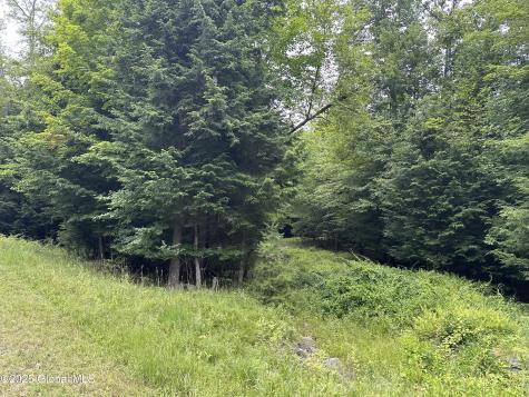 2 Diamond Ridge Road Bolton NY 12824