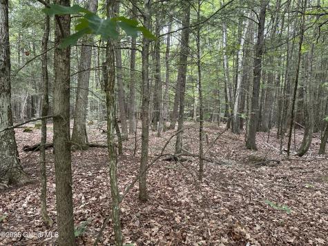 2 Diamond Ridge Road Bolton NY 12824