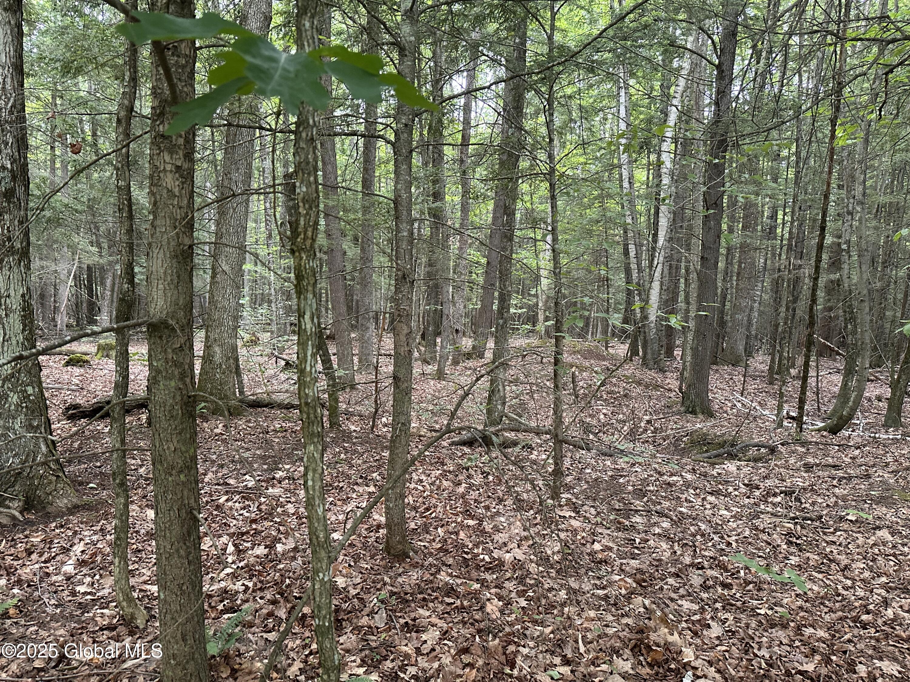 2 Diamond Ridge Road Bolton NY 12824