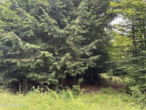 2 Diamond Ridge Road Bolton NY 12824