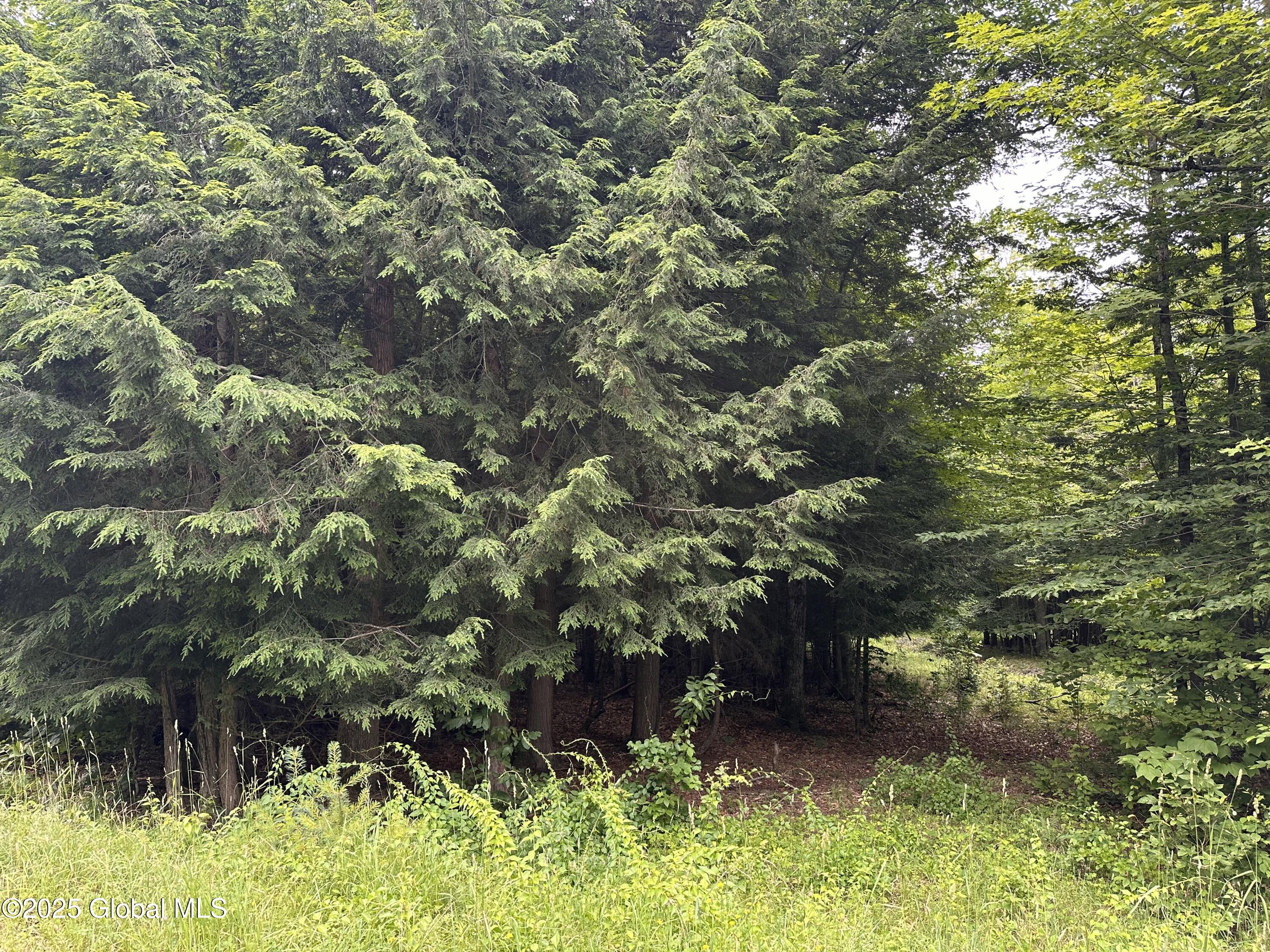 2 Diamond Ridge Road Bolton NY 12824