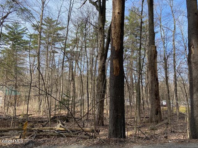 L44 Pillar Way Fort Ann NY 12827