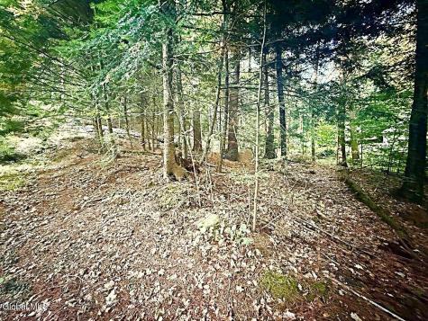 L31 Clarkson Road Chestertown NY 12817