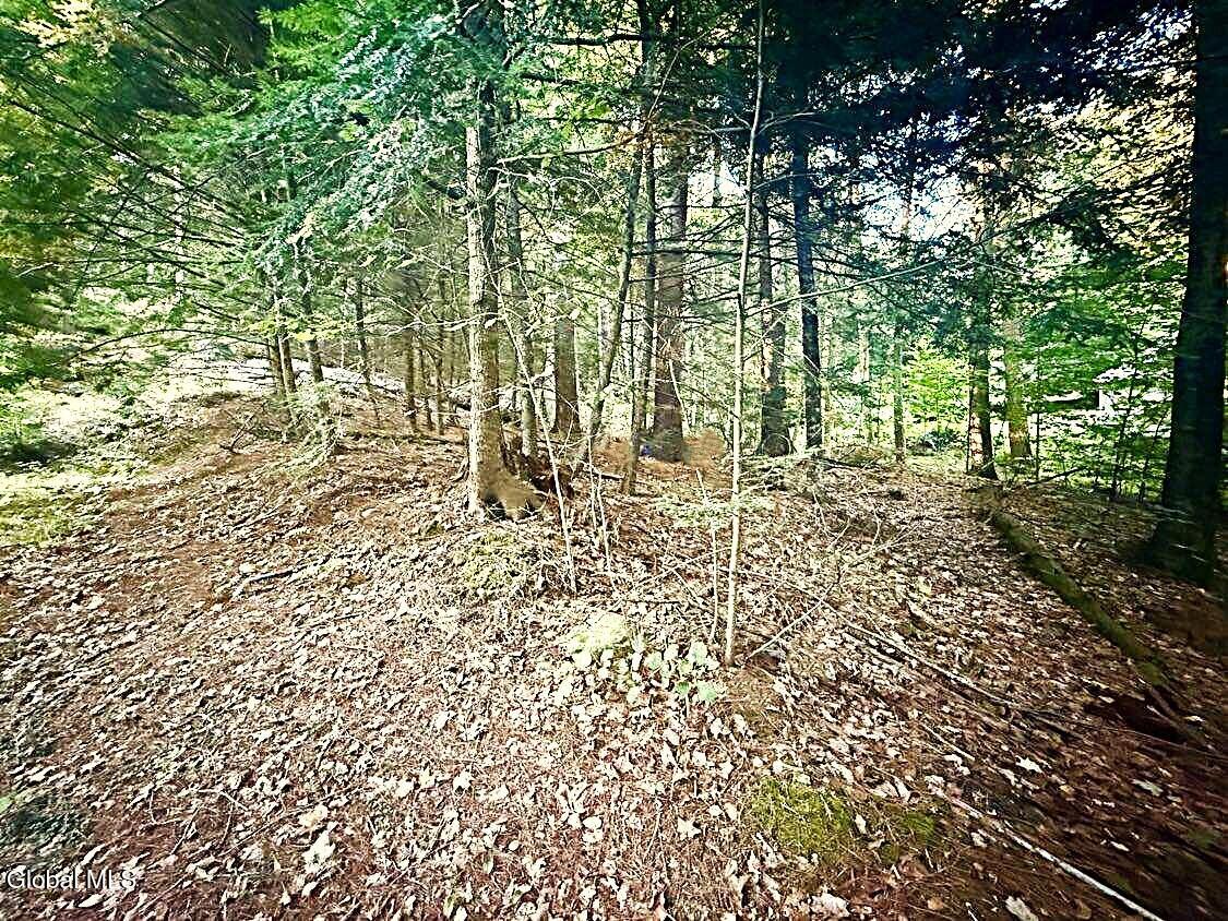 L31 Clarkson Road Chestertown NY 12817