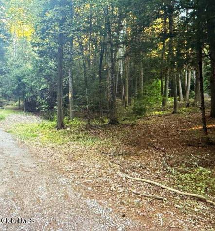 L31 Clarkson Road Chestertown NY 12817